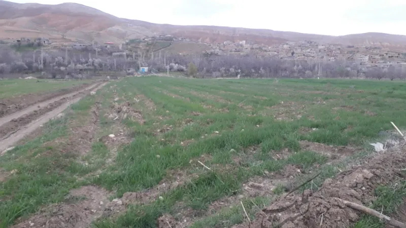 فروش زمین بجنورد روستای حمید اول مسیر آبشار | فروش مسکونی | زمین | بجنورد | پست ملک