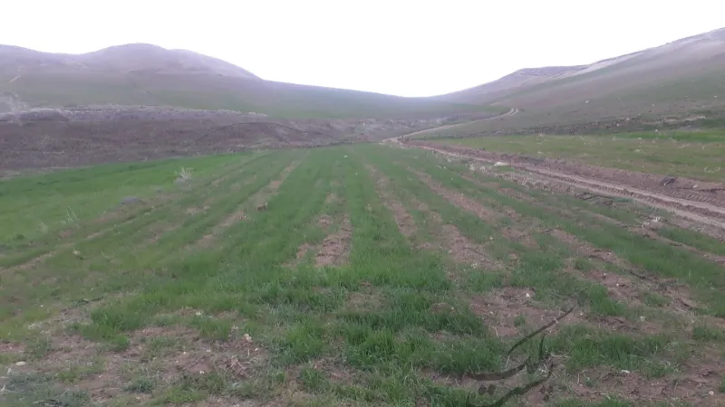 فروش زمین بجنورد روستای حمید اول مسیر آبشار | فروش مسکونی | زمین | بجنورد | پست ملک