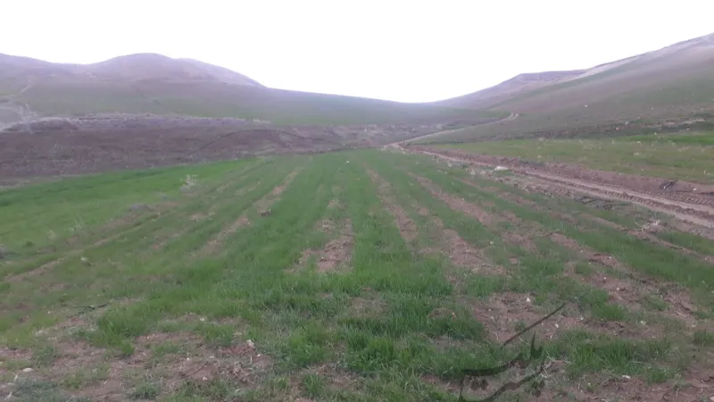 فروش زمین بجنورد روستای حمید اول مسیر آبشار | فروش مسکونی | زمین | بجنورد | پست ملک