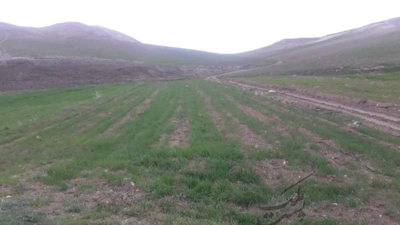 فروش زمین بجنورد روستای حمید اول مسیر آبشار | فروش مسکونی | زمین | بجنورد | پست ملک