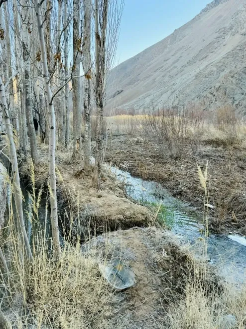 ۳۰۰۰متر زمین واقع در فیروزکو مشرف به رودخانه