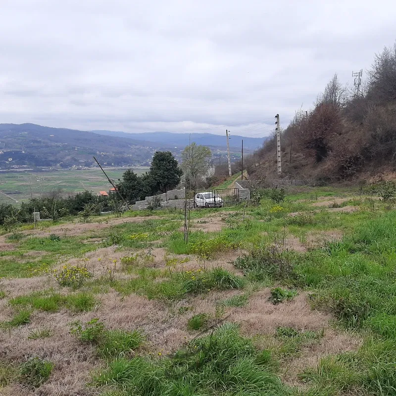 یک هکتار زمین در روستای بالاکولا ساری | فروش اداریتجاریصنعتی و کشاورزی | صنعتی کشاورزی و تجاری | ساری | حومه شهر | پست ملک