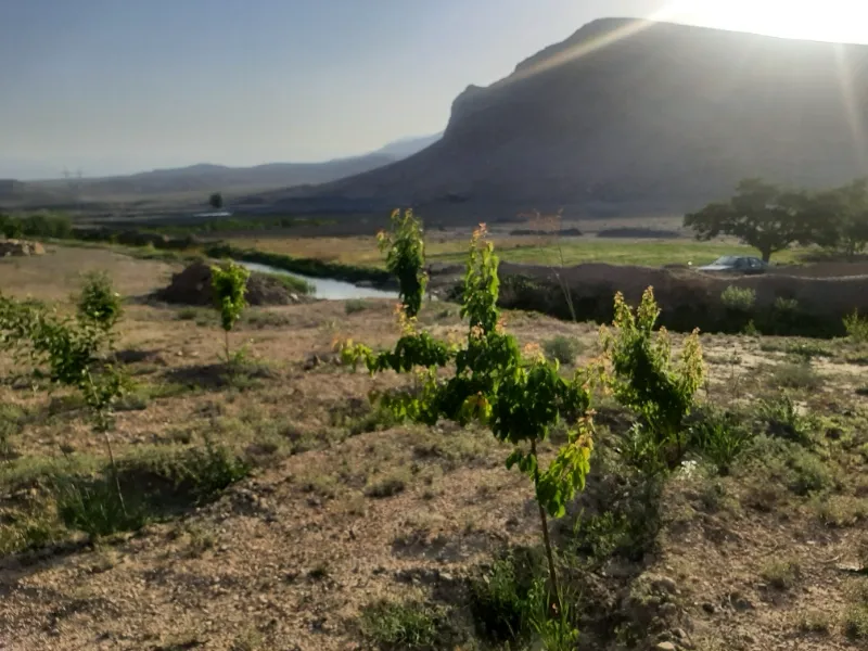 فروش زمین ۱۳۰۰ متری در گلبهار روستای جمعاب وصل به گلبهار | فروش مسکونی | زمین | مشهد | آزادشهر | پست ملک