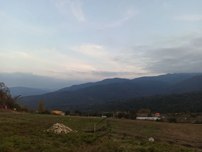 زمین در روستای ورکی ۵۰۰ متر مربع | فروش اداریتجاریصنعتی و کشاورزی | صنعتی کشاورزی و تجاری | ساری | ورکی | پست ملک