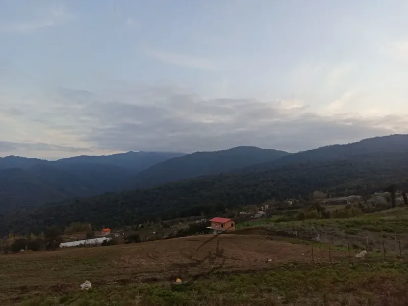 زمین در روستای ورکی ۵۰۰ متر مربع | فروش اداریتجاریصنعتی و کشاورزی | صنعتی کشاورزی و تجاری | ساری | ورکی | پست ملک