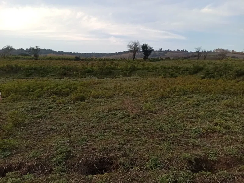 زمین در روستای ورکی ۵۰۰ متر مربع | فروش اداریتجاریصنعتی و کشاورزی | صنعتی کشاورزی و تجاری | ساری | ورکی | پست ملک