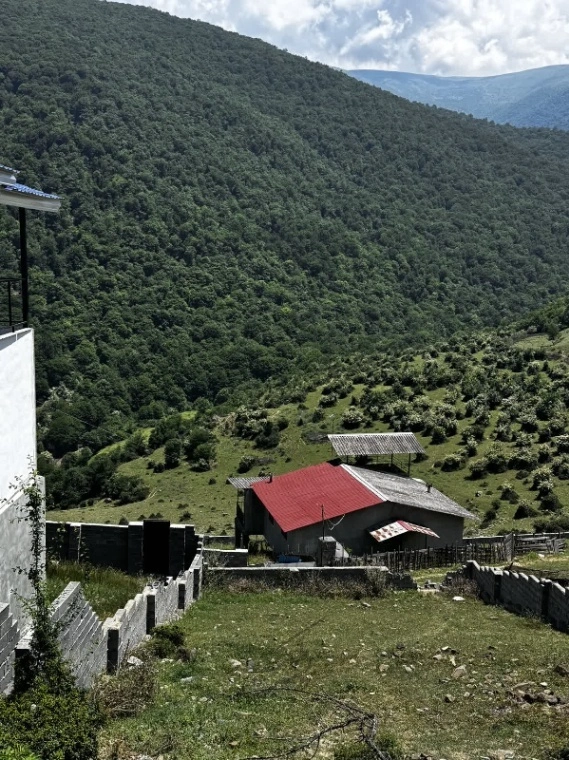 زمین ییلاقی کالج - نور-مازندران بصورت نقد، اقساط، تهاتر