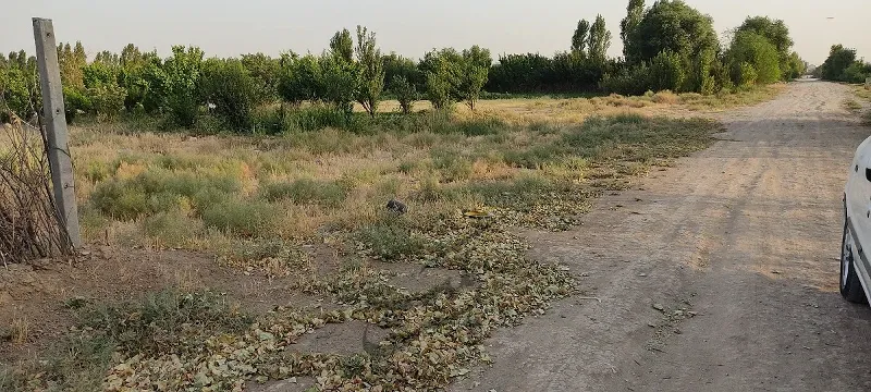 زمین ۴۹۵ متری ماهدشت ارزانتر از منطقه | فروش اداریتجاریصنعتی و کشاورزی | صنعتی کشاورزی و تجاری | ماهدشت | پست ملک