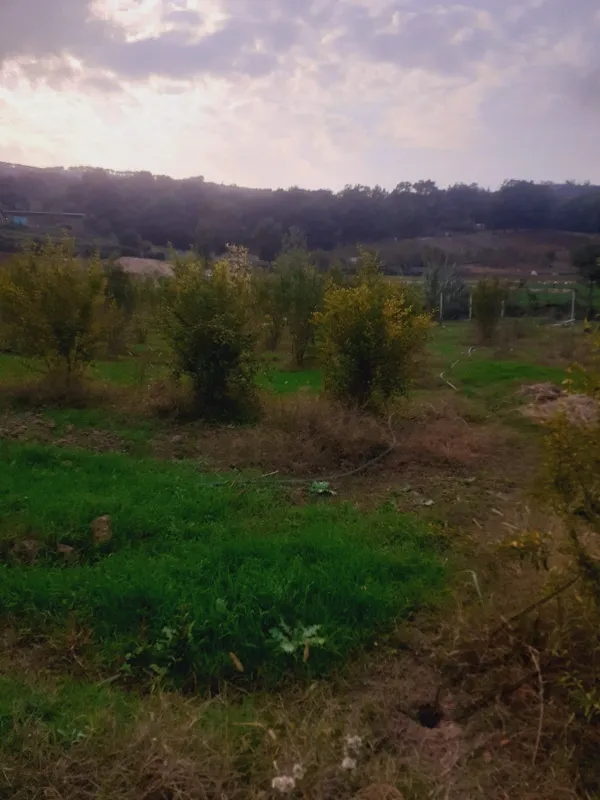 ۳۰۰ متر زمین در روستای توشن گرگان | فروش اداریتجاریصنعتی و کشاورزی | صنعتی کشاورزی و تجاری | گرگان | پست ملک