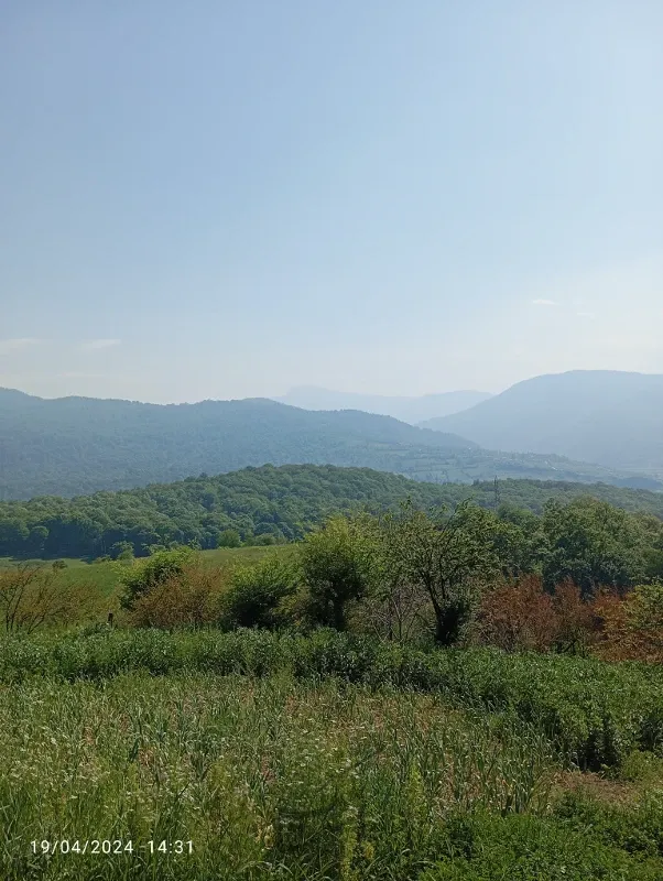 زمین خانه سرا | فروش مسکونی | زمین | ساری | روستای ورند | پست ملک