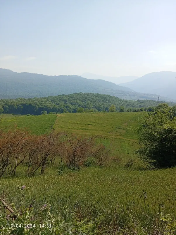 زمین خانه سرا | فروش مسکونی | زمین | ساری | روستای ورند | پست ملک