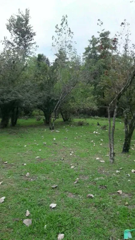 ۱۱۲۰ مربی تک برگ سند ۲۶ متر بر روستای خرارود | فروش مسکونی | زمین | سیاهکل | پست ملک