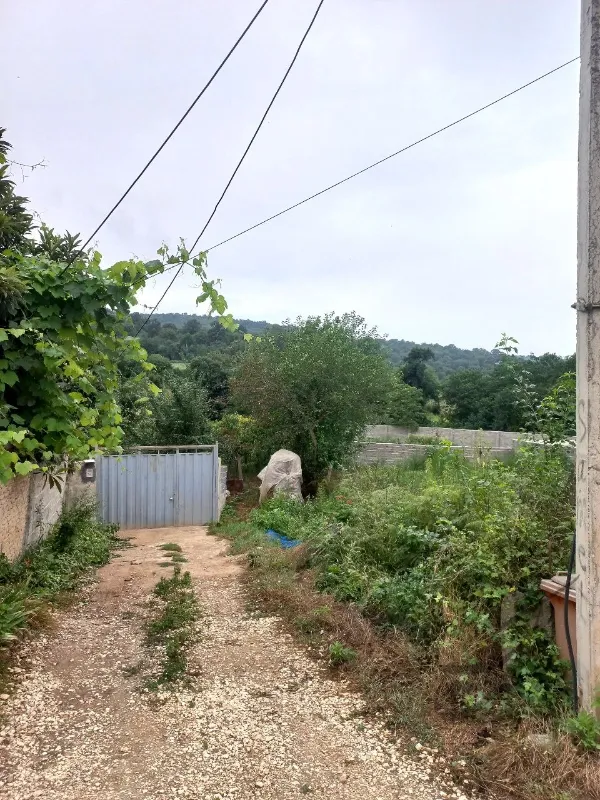 زمین ۲۴۰متر واقع در نکاروستای چلمردی | فروش اداریتجاریصنعتی و کشاورزی | صنعتی کشاورزی و تجاری | نکا | پست ملک