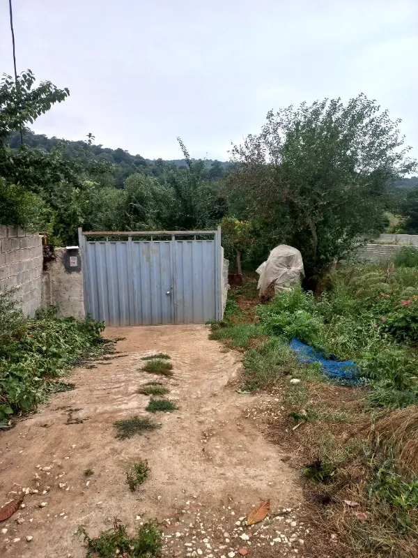 زمین ۲۴۰متر واقع در نکاروستای چلمردی | فروش اداریتجاریصنعتی و کشاورزی | صنعتی کشاورزی و تجاری | نکا | پست ملک