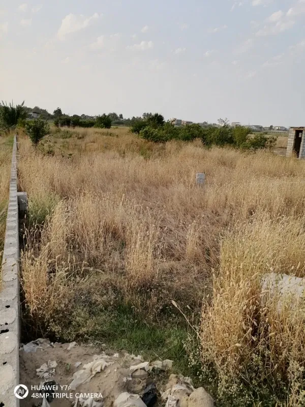 زمین کشاورزی ۱۷۰۰ متر مازندران جویبار چپکرود | فروش اداریتجاریصنعتی و کشاورزی | صنعتی کشاورزی و تجاری | کوهی خیل | پست ملک