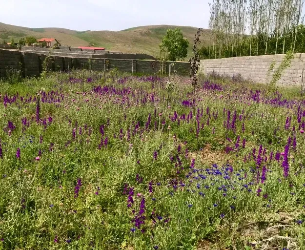 زمین مسکونی داخل بافت روستای واوسر | فروش مسکونی | زمین | ساری | جاده کیاسر | پست ملک