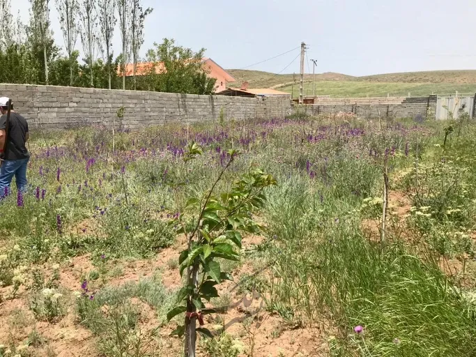 زمین مسکونی داخل بافت روستای واوسر | فروش مسکونی | زمین | ساری | جاده کیاسر | پست ملک