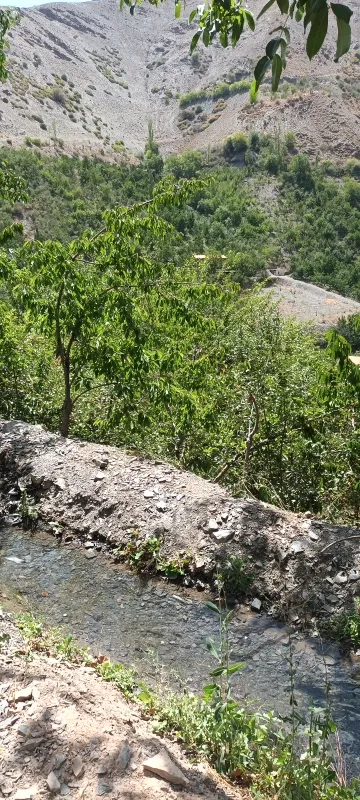 زمین مشهد روستای زشک | فروش مسکونی | زمین | شاندیز | پست ملک