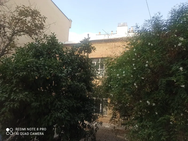 خانه کلنگی با عرض دوازده دو نبش | فروش مسکونی | خانه کلنگی | شیراز | سینما سعدی | پست ملک