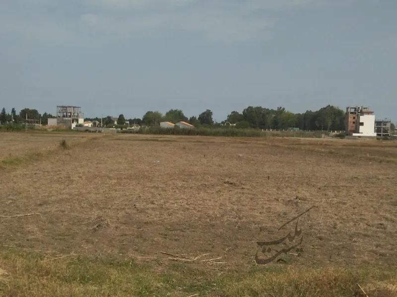 روستای طوقدار روبروی عدالت ۴ چسبیده به بافت ۵۰۰ متر زمین | فروش اداریتجاریصنعتی و کشاورزی | صنعتی کشاورزی و تجاری | ساری | جاده پلاژ | پست ملک