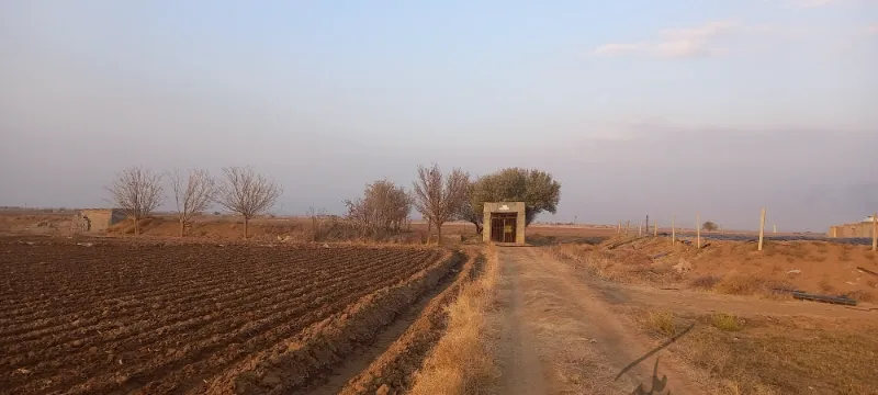 اجاره زمین کشاورزی با چاه آب چاله گرد | اجاره اداریتجاریصنعتی و کشاورزی | صنعتی کشاورزی و تجاری | نظرآباد | پست ملک