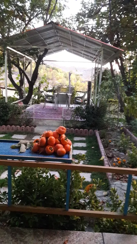 اجاره باغ ویلای روستایی در تهران | اجاره کوتاه مدت | ویلا و باغ | تهران | شهرک شهید باقری | پست ملک