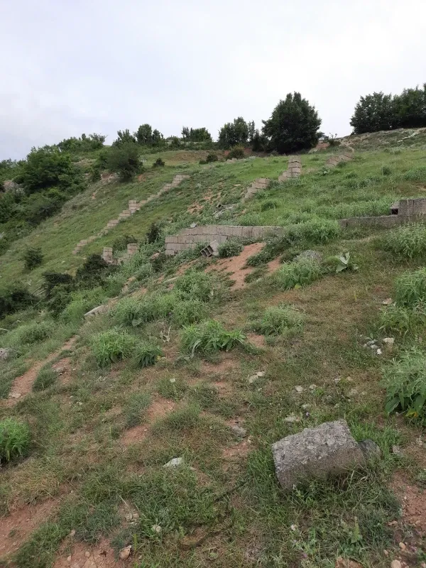 زمین به متراژ ۳۵۰ متر مربعروستای چلاجور | فروش اداریتجاریصنعتی و کشاورزی | صنعتی کشاورزی و تجاری | کلاردشت | چلاجور | پست ملک