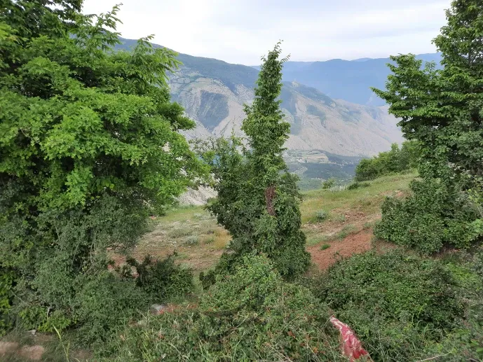 زمین به متراژ ۳۵۰ متر مربعروستای چلاجور | فروش اداریتجاریصنعتی و کشاورزی | صنعتی کشاورزی و تجاری | کلاردشت | چلاجور | پست ملک