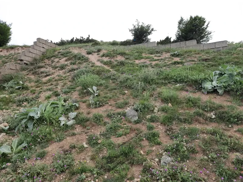 زمین به متراژ ۳۵۰ متر مربعروستای چلاجور | فروش اداریتجاریصنعتی و کشاورزی | صنعتی کشاورزی و تجاری | کلاردشت | چلاجور | پست ملک