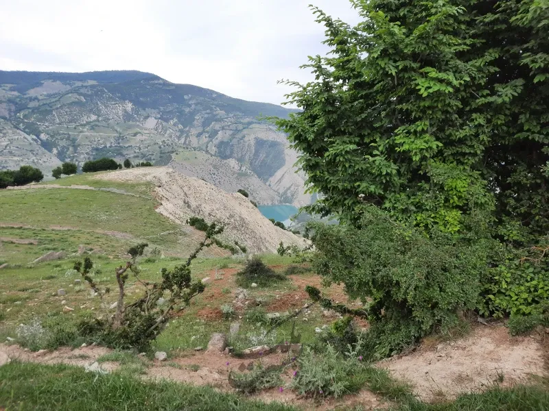 زمین به متراژ ۳۵۰ متر مربعروستای چلاجور | فروش اداریتجاریصنعتی و کشاورزی | صنعتی کشاورزی و تجاری | کلاردشت | چلاجور | پست ملک