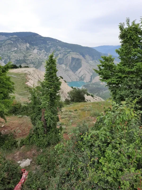 زمین به متراژ ۳۵۰ متر مربعروستای چلاجور | فروش اداریتجاریصنعتی و کشاورزی | صنعتی کشاورزی و تجاری | کلاردشت | چلاجور | پست ملک