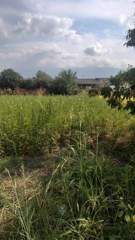 زمین مسکونی ۲۰۰متر فرهنگ نوز ده مزرعه کتول | فروش مسکونی | زمین | علی آباد کتول | پست ملک