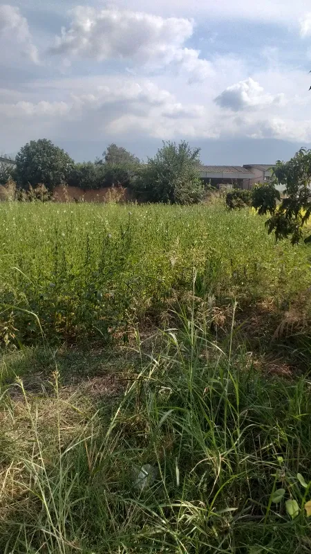 زمین مسکونی ۲۰۰متر فرهنگ نوز ده مزرعه کتول | فروش مسکونی | زمین | علی آباد کتول | پست ملک