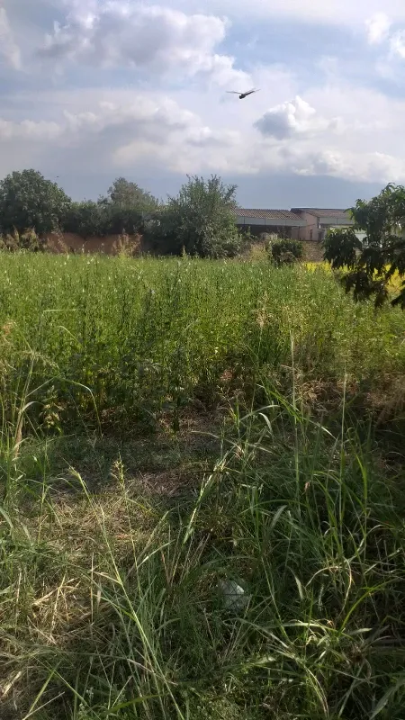 زمین مسکونی ۲۰۰متر فرهنگ نوز ده مزرعه کتول | فروش مسکونی | زمین | علی آباد کتول | پست ملک