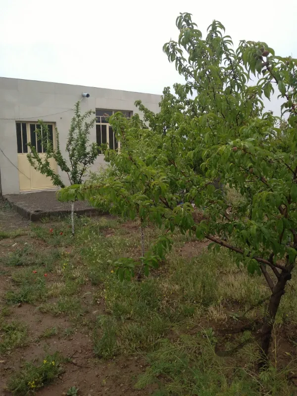 باغ ۱۰۰۰ متر واقع در روستای مزرعه بعد از امند | فروش مسکونی | ویلا | صوفیان | پست ملک