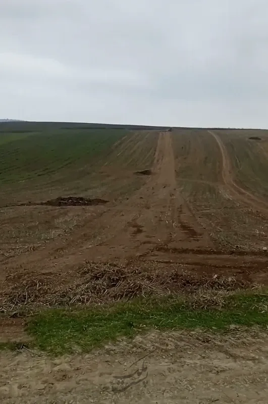 ۱۵۰۰ متر روستای جعفر کلا | فروش اداریتجاریصنعتی و کشاورزی | صنعتی کشاورزی و تجاری | فریم | پست ملک