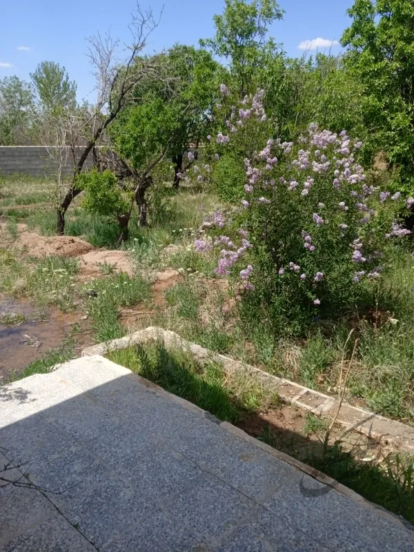 باغ۲۰۰۰ متری در روستای عزیز آباد تیران | فروش اداریتجاریصنعتی و کشاورزی | صنعتی کشاورزی و تجاری | اصفهان | تیران | پست ملک