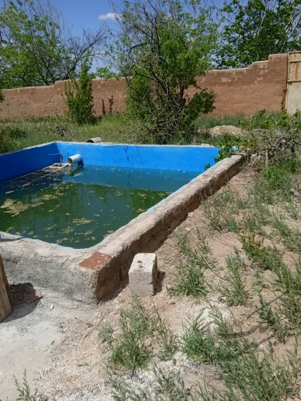 باغ۲۰۰۰ متری در روستای عزیز آباد تیران | فروش اداریتجاریصنعتی و کشاورزی | صنعتی کشاورزی و تجاری | اصفهان | تیران | پست ملک