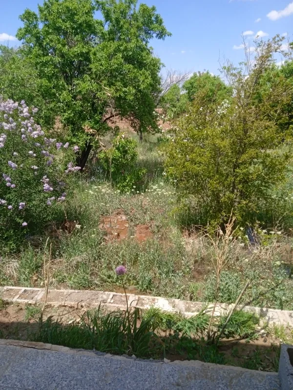 باغ۲۰۰۰ متری در روستای عزیز آباد تیران | فروش اداریتجاریصنعتی و کشاورزی | صنعتی کشاورزی و تجاری | اصفهان | تیران | پست ملک