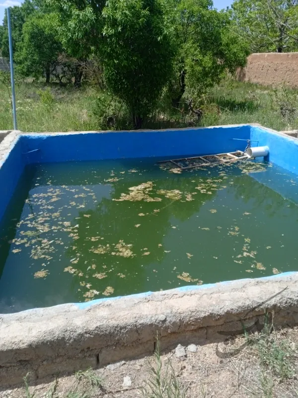 باغ۲۰۰۰ متری در روستای عزیز آباد تیران | فروش اداریتجاریصنعتی و کشاورزی | صنعتی کشاورزی و تجاری | اصفهان | تیران | پست ملک