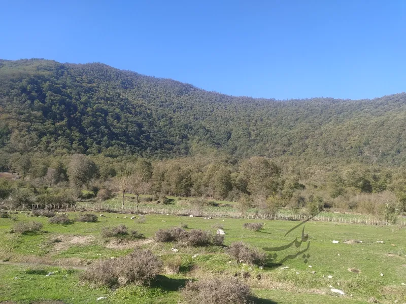 زمین کشاورزی مخصوص باغداری ۱۰۰۰متر رامیان کنار چشمه | فروش اداریتجاریصنعتی و کشاورزی | صنعتی کشاورزی و تجاری | رامیان | پست ملک