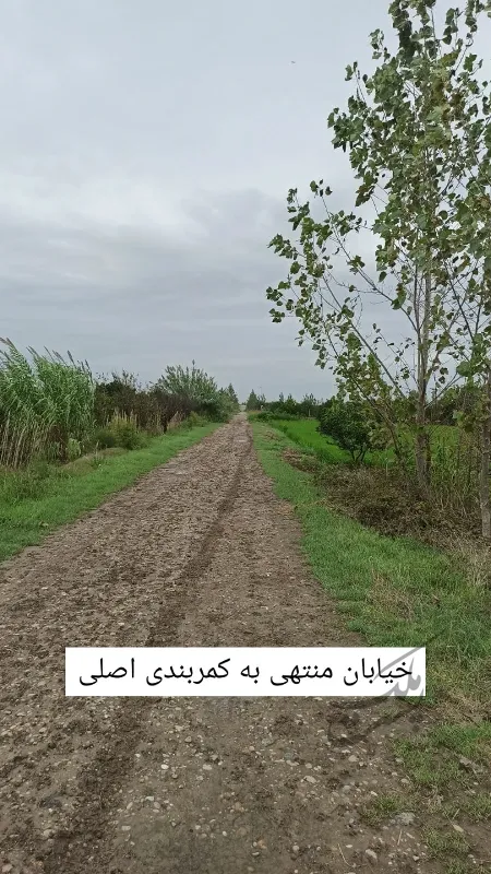 زمین کشاورزی خوش قواره در روستای هتکه پشت | فروش اداریتجاریصنعتی و کشاورزی | صنعتی کشاورزی و تجاری | بابل | جاده بابل به قائمشهر | پست ملک