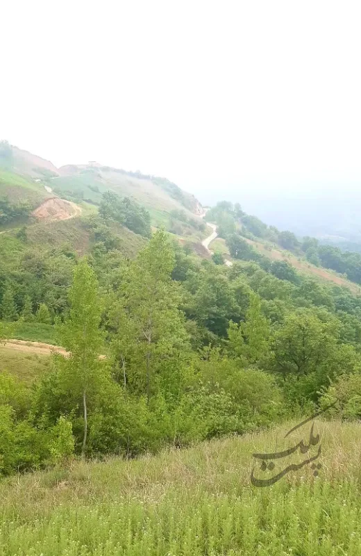 ۳۰۰ مترمربع زمین کشاورزی روستای تخت تسطیح شده | فروش مسکونی | زمین | مینودشت | پست ملک