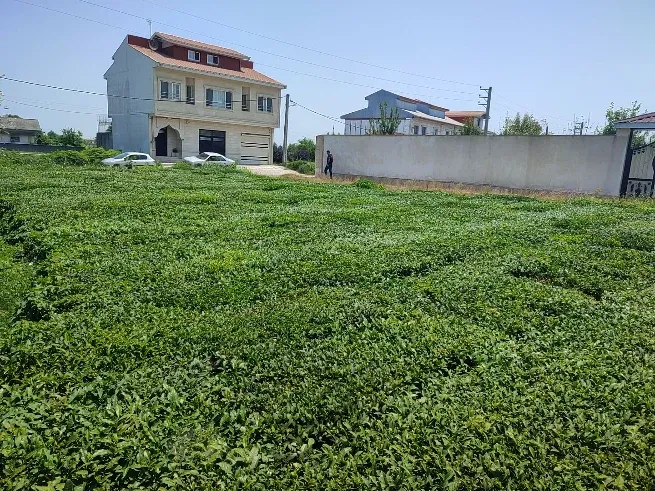 زمین مسکونی۳۵۰ متر۱۵متر بر اصلی۲۲متر بر داخل لاهیجان | فروش مسکونی | زمین | لاهیجان | بازکیا گوراب | پست ملک