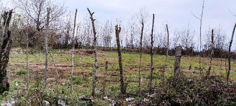 زمین ۱۴۵۰ متر | فروش مسکونی | زمین | رشت | میدان رازی | پست ملک