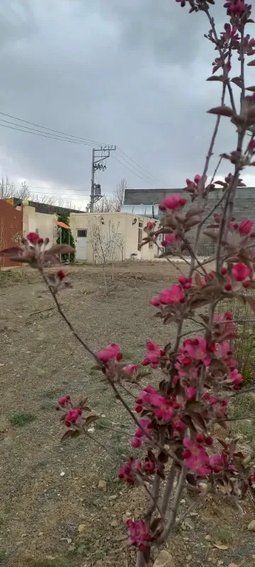 خانه باغ در جاده کاهو | فروش مسکونی | ویلا | مشهد | الهیه | پست ملک