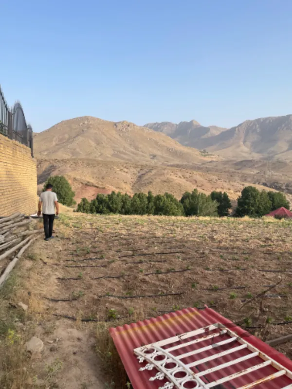 ۳۰۰۰ متر زمین مسکونی ویلایی | اجاره اداریتجاریصنعتی و کشاورزی | صنعتی کشاورزی و تجاری | طالقان | پست ملک