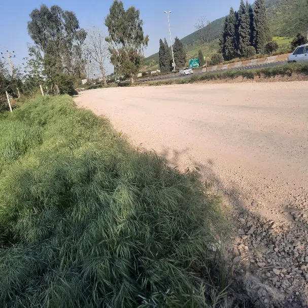 زمین با ۲۵مترتا۵۰متر بر اتوبان گرگان به تهران | فروش اداریتجاریصنعتی و کشاورزی | صنعتی کشاورزی و تجاری | بهشهر | پست ملک