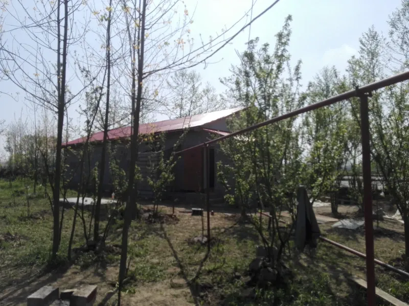 اجاره سالن ۱۵۰متری مناسب قارچ و کارگاه در لفمجان | فروش مسکونی | ویلا | لاهیجان | روستای لفمجان | پست ملک