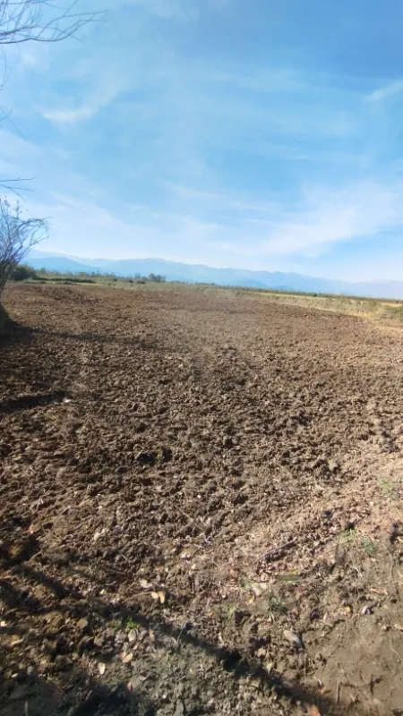 زمین باغی نسخ روستای تکرم | فروش اداریتجاریصنعتی و کشاورزی | صنعتی کشاورزی و تجاری | رشت | جاده جیرده | پست ملک